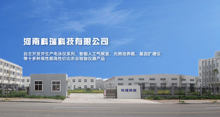 333-http://lovestyle.com.cn/uploadfile/202209/e03d126c589b6fe.jpg