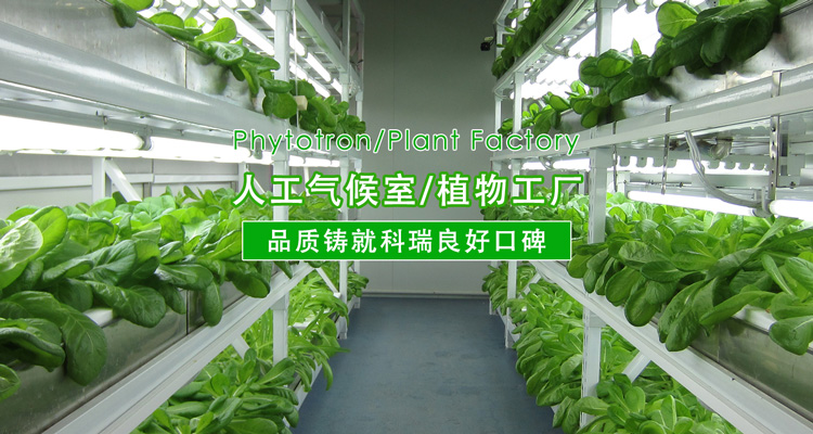 2-http://lovestyle.com.cn/uploads/190724/1-1ZH416094V41.jpg